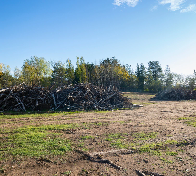 cleared land